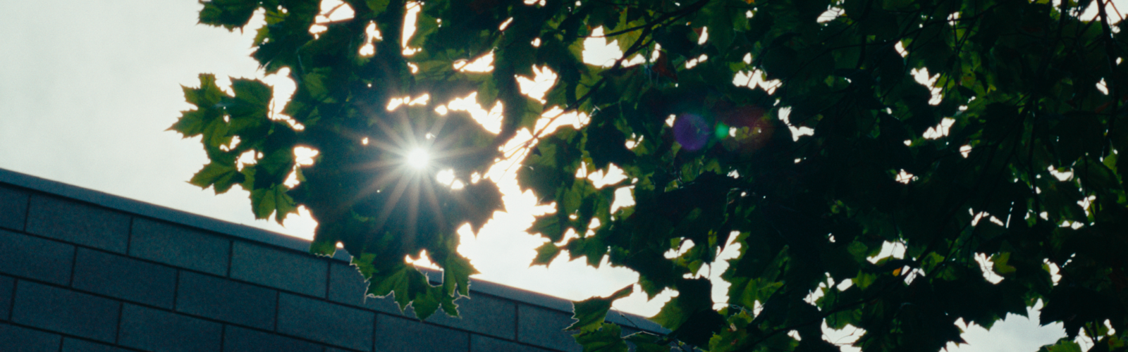 Independent Approved Premises